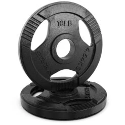 Synergee Cast Iron Weight Plates -Fitness Equipment Sales 10 20pair 20cast 20iron 20weight 20plate 20amazon 20image 201