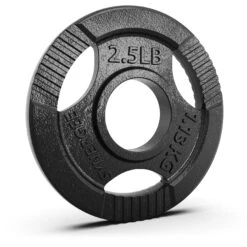 Synergee Cast Iron Weight Plates -Fitness Equipment Sales 2.5 20single 20cast 20iron 20weight 20plate 20amazon 20image 201