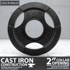 Synergee Cast Iron Weight Plates -Fitness Equipment Sales 2.5 20single 20cast 20iron 20weight 20plate 20amazon 20image 202