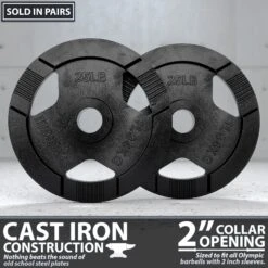 Synergee Cast Iron Weight Plates -Fitness Equipment Sales 25 20pair 20cast 20iron 20weight 20plate 20amazon 20image 202 20jpg1