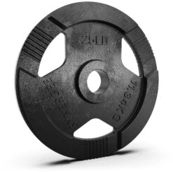 Synergee Cast Iron Weight Plates -Fitness Equipment Sales 25 20single 20cast 20iron 20weight 20plate 20amazon 20image 201