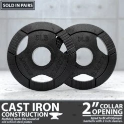 Synergee Cast Iron Weight Plates -Fitness Equipment Sales 5 20pair 20cast 20iron 20weight 20plate 20amazon 20image 202 20dark1
