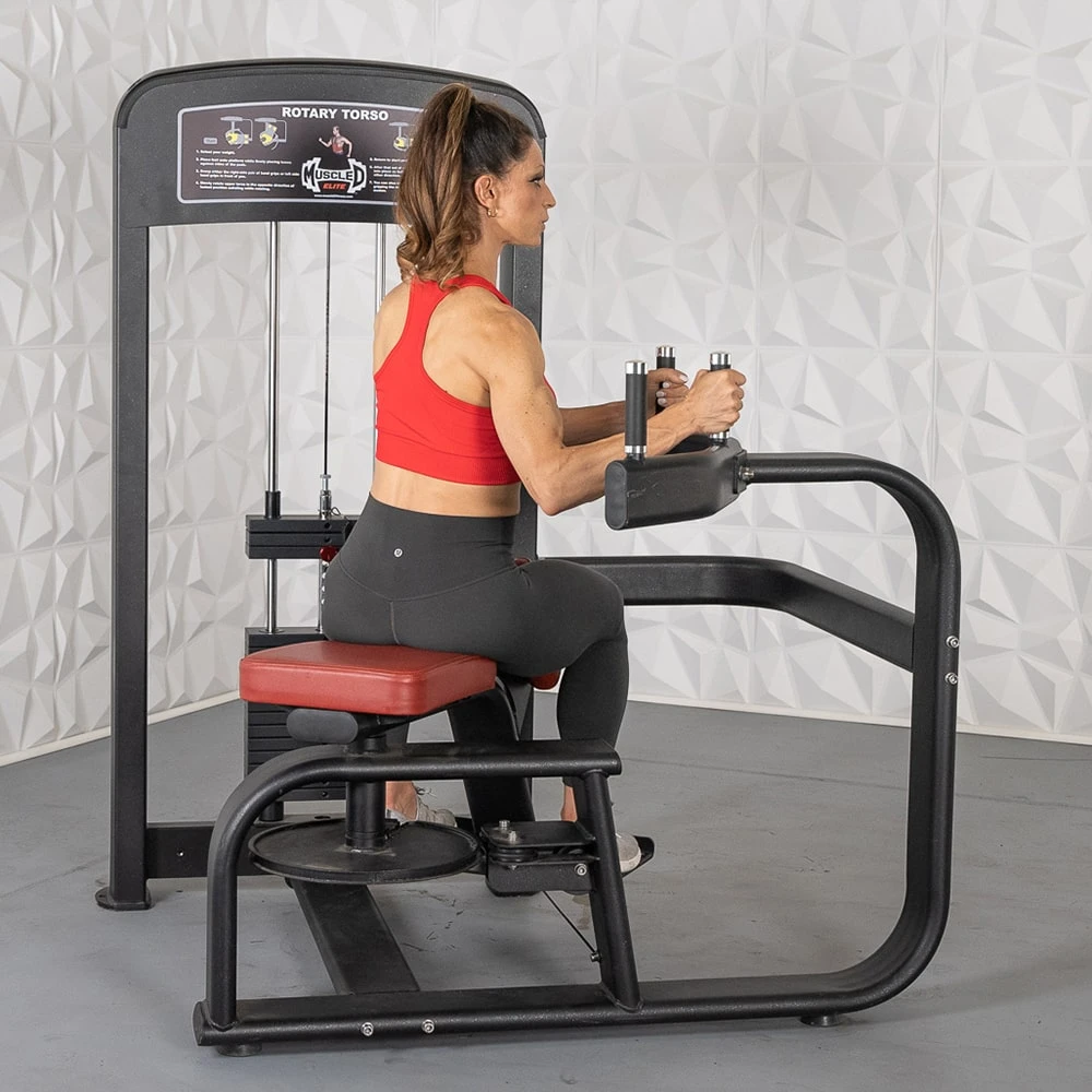 Muscle D Elite Rotary Torso MDE-18 6 Muscle D Elite Rotary Torso MDE-18 - Image 6