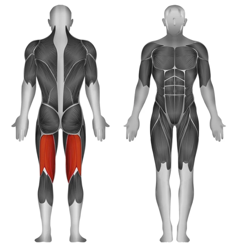 Steelflex Prone Leg Curl JGLC400 2 Steelflex Prone Leg Curl JGLC400 - Image 2