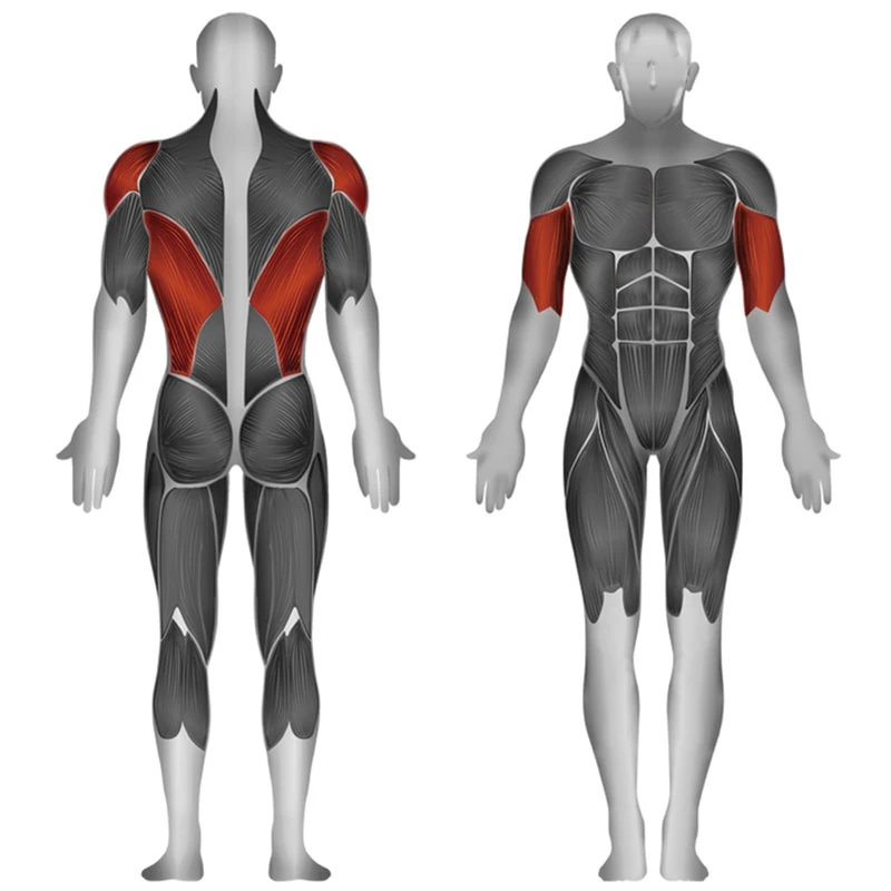 Steelflex Seated Row JGRM1700 2 Steelflex Seated Row JGRM1700 - Image 2