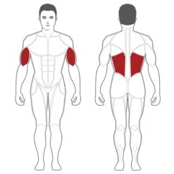 Steelflex Plate Loaded Lat Pulldown PLLA 7 Steelflex Plate Loaded Lat Pulldown PLLA -Fitness Equipment Sales SteelflexPLLAPlateLoadedLatPulldownAffectedMuscles